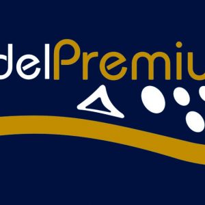 Logo Padel Premium Jaen